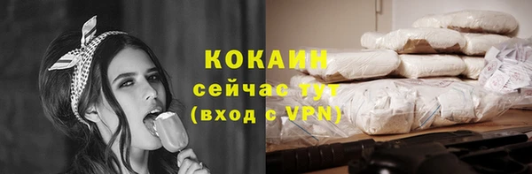 дживик Аркадак